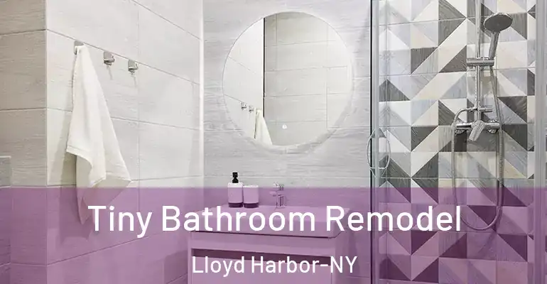 inner Bathroom imggen Tiny Bathroom Remodel Lloyd Harbor-NY