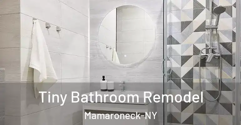 inner Bathroom imggen Tiny Bathroom Remodel Mamaroneck-NY