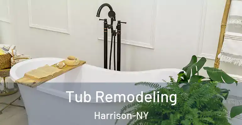 inner Bathroom imggen Tub Remodeling Harrison-NY