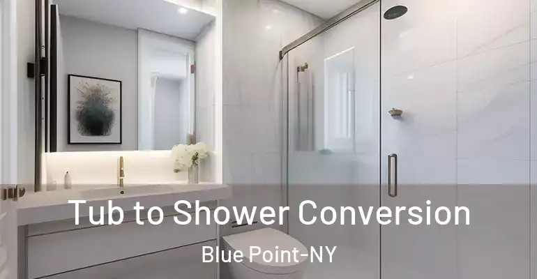 inner Bathroom imggen Tub to Shower Conversion Blue Point-NY