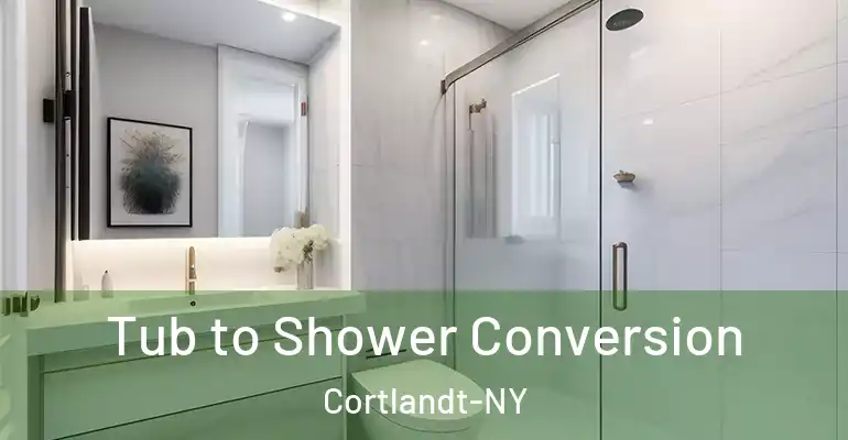 inner Bathroom imggen Tub to Shower Conversion Cortlandt-NY