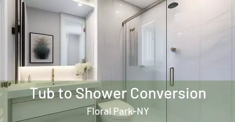 inner Bathroom imggen Tub to Shower Conversion Floral Park-NY