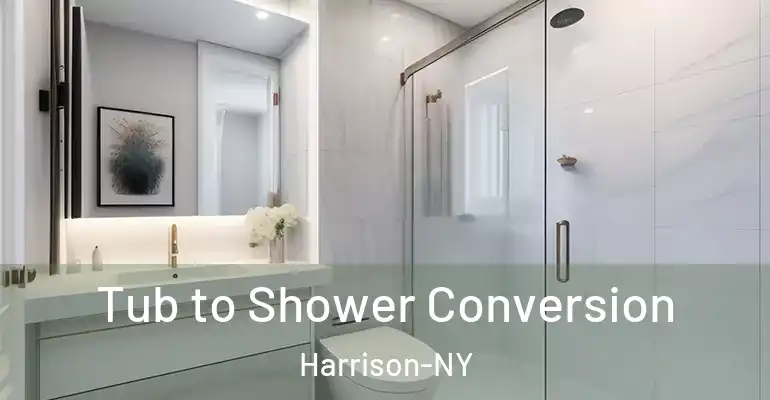 inner Bathroom imggen Tub to Shower Conversion Harrison-NY