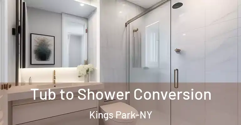 inner Bathroom imggen Tub to Shower Conversion Kings Park-NY