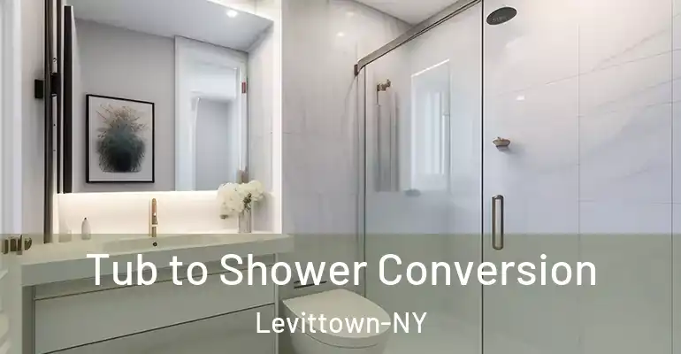 inner Bathroom imggen Tub to Shower Conversion Levittown-NY