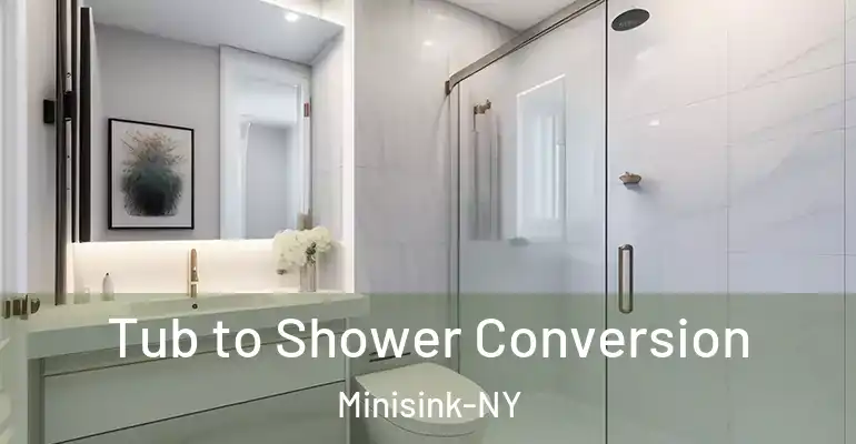 inner Bathroom imggen Tub to Shower Conversion Minisink-NY
