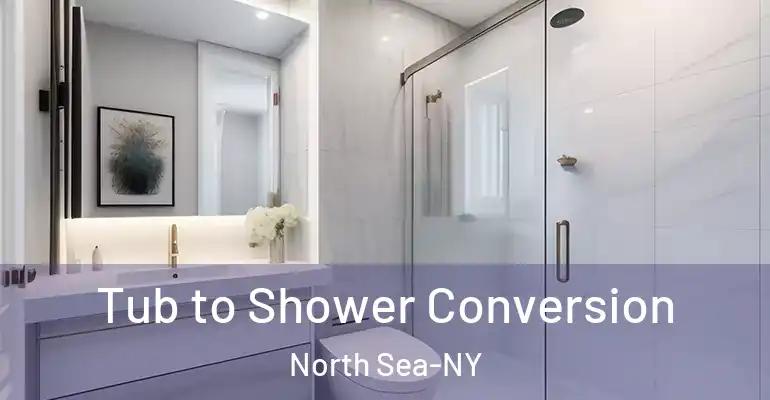 inner Bathroom imggen Tub to Shower Conversion North Sea-NY