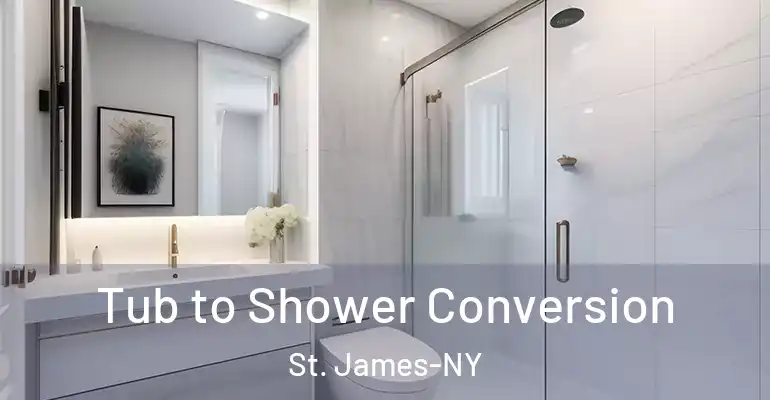 inner Bathroom imggen Tub to Shower Conversion St. James-NY