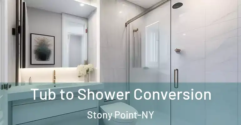inner Bathroom imggen Tub to Shower Conversion Stony Point-NY