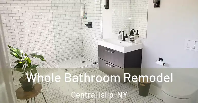 inner Bathroom imggen Whole Bathroom Remodel Central Islip-NY