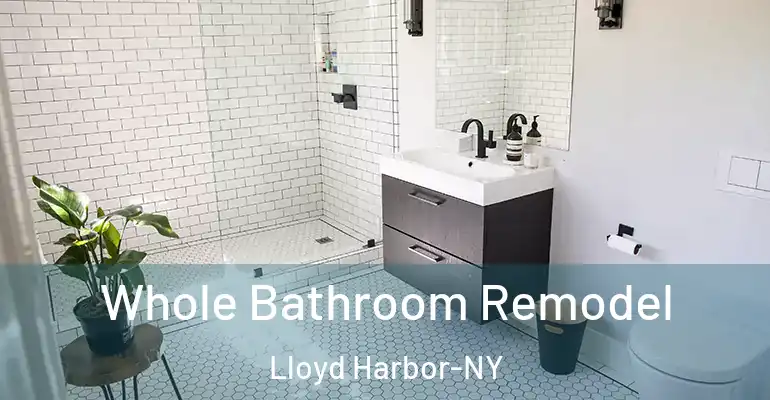 inner Bathroom imggen Whole Bathroom Remodel Lloyd Harbor-NY