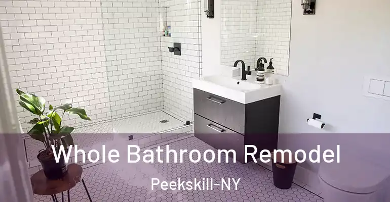 inner Bathroom imggen Whole Bathroom Remodel Peekskill-NY
